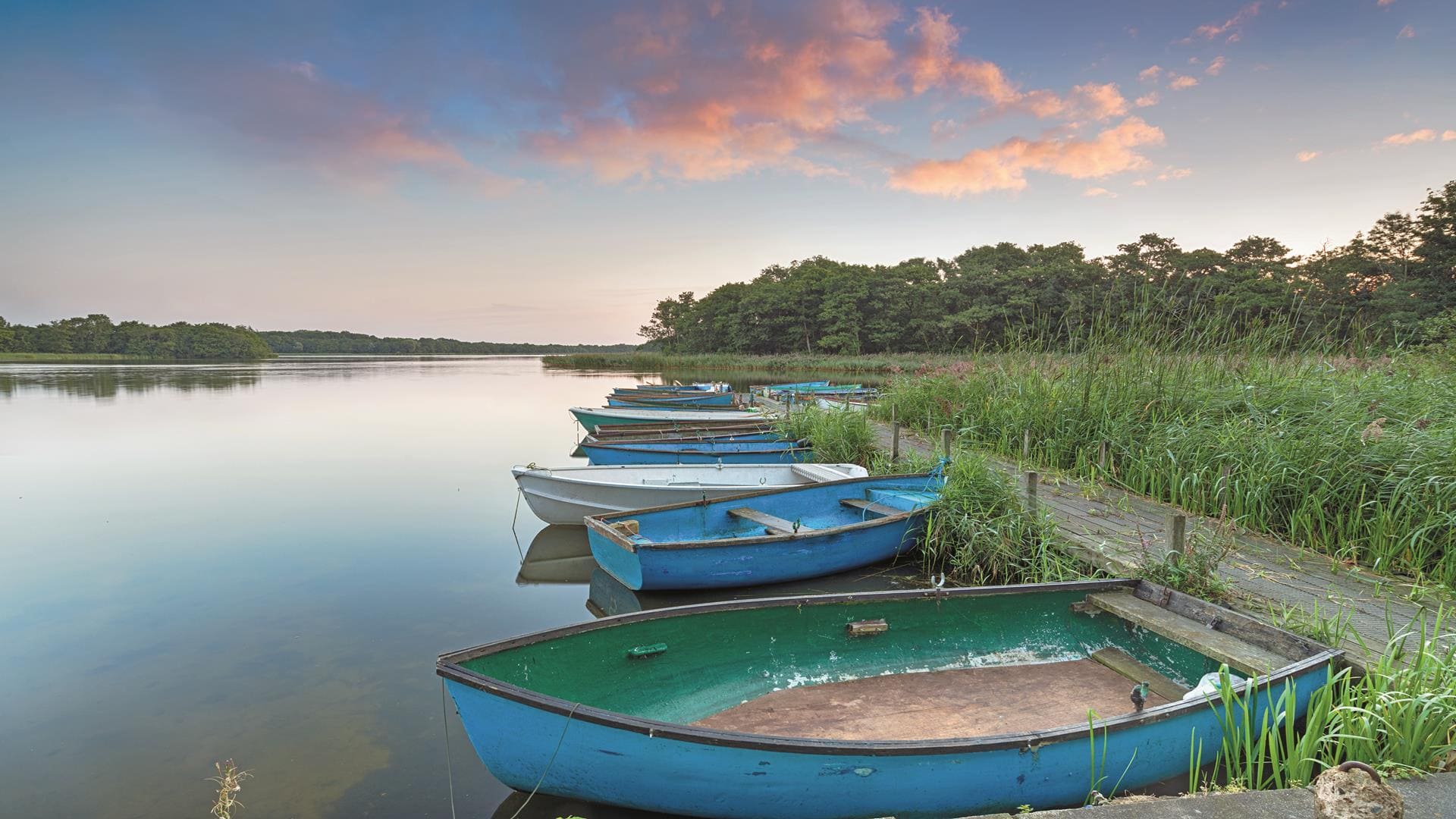 Norfolk Broads Cruise